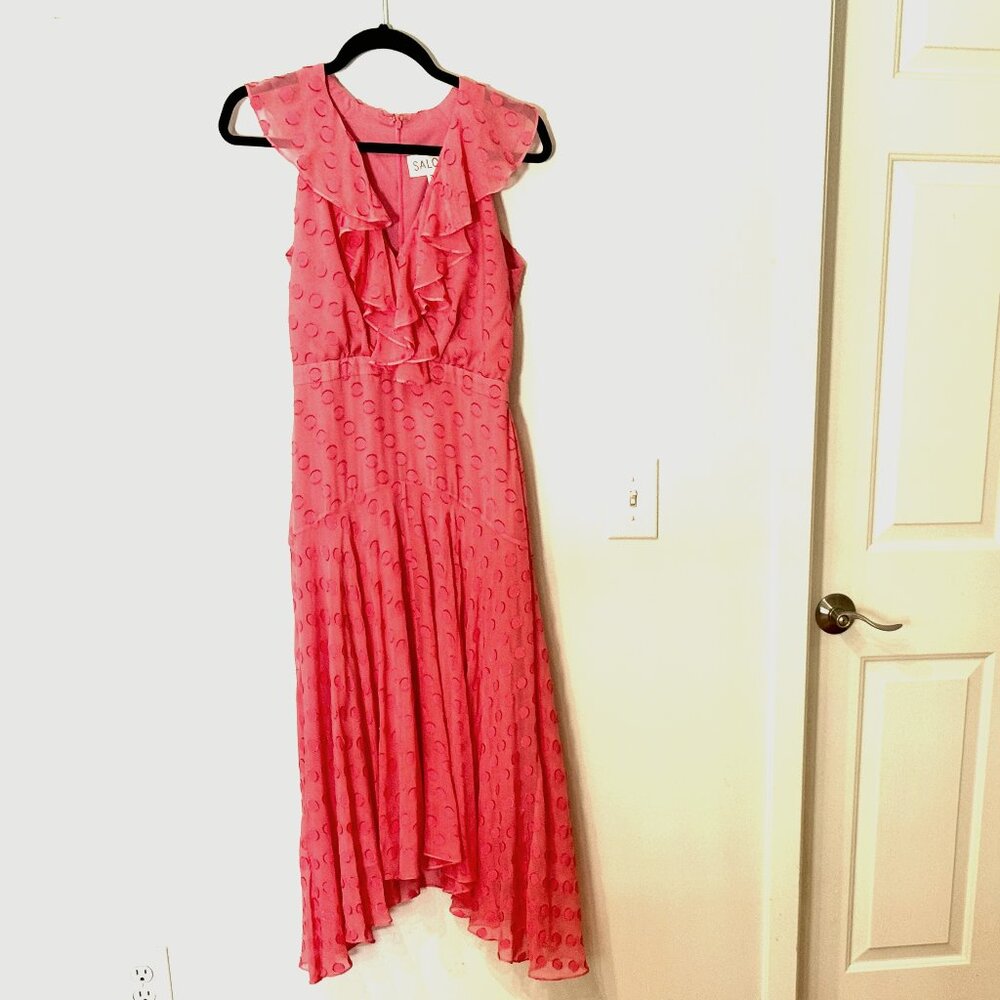 SALONI Rita Ruffle Polka Dot Silk Dress size 4